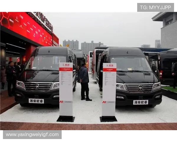 亚星官网平台入口最新动态，第一时间掌握官方公告