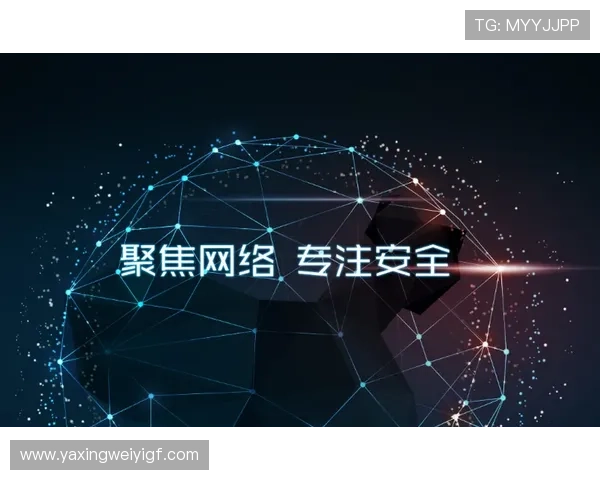 亚星平台app安全性分析，保障用户信息隐私与资金安全的措施详解