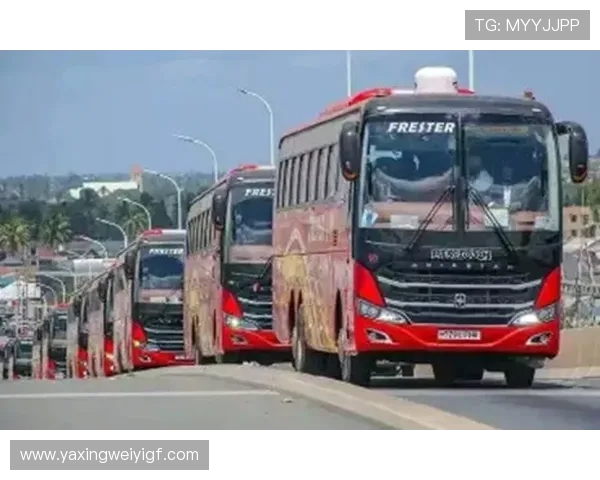 亚星总代理全面解析：成为行业领先者的必备策略与实战经验