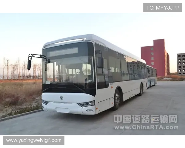 亚星登陆平台链接安全指南，详细步骤帮助用户顺利访问