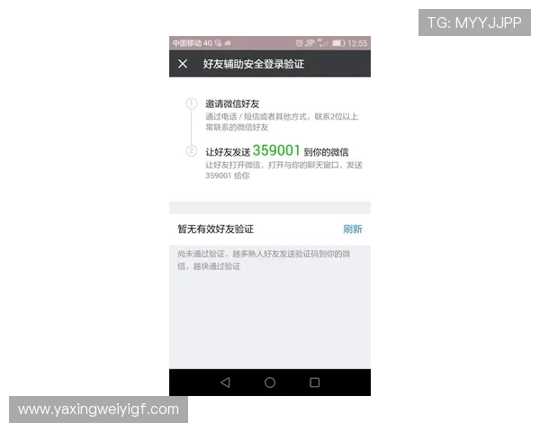 亚星游戏官网登录入口验证码最新安全验证流程详解帮助玩家顺利登录