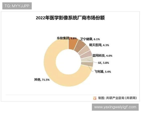 亚星游戏的市场表现与行业地位分析，了解其在国内外的竞争优势